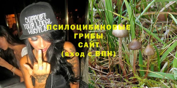 прущая мука Верхний Тагил