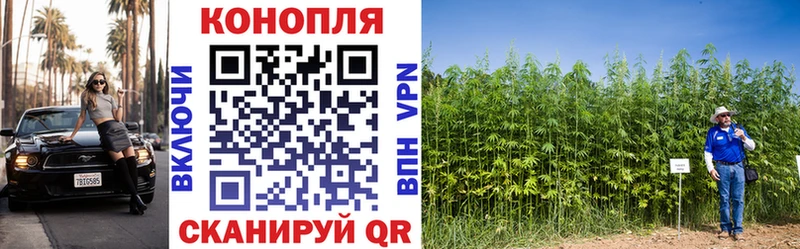Марихуана MAZAR  Купить закладки  Новоалтайск 